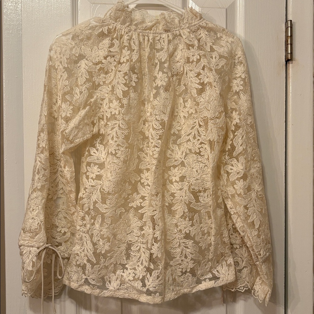 Elegant Cream embroidered Lace sheer Blouse - Picture 7 of 8